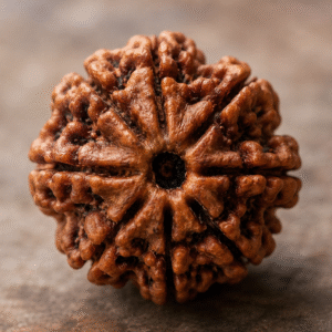Rudraksha Suggestion
