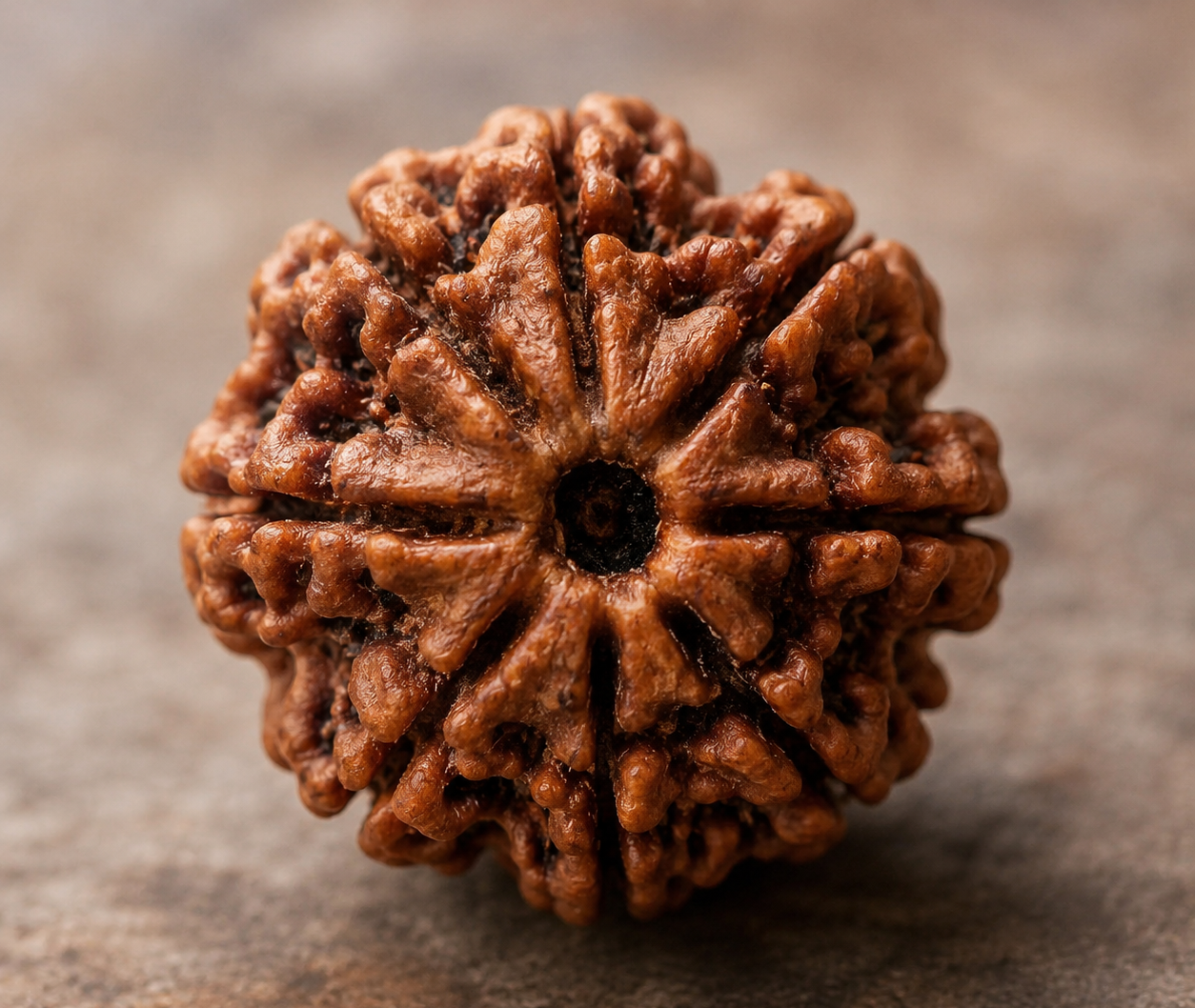 Rudraksha Suggestion